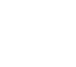 bullseye icoon